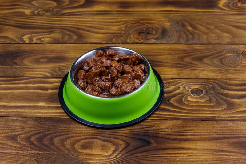 7 Little Make a Big Difference With Your Can Dogs Eat Cat Food