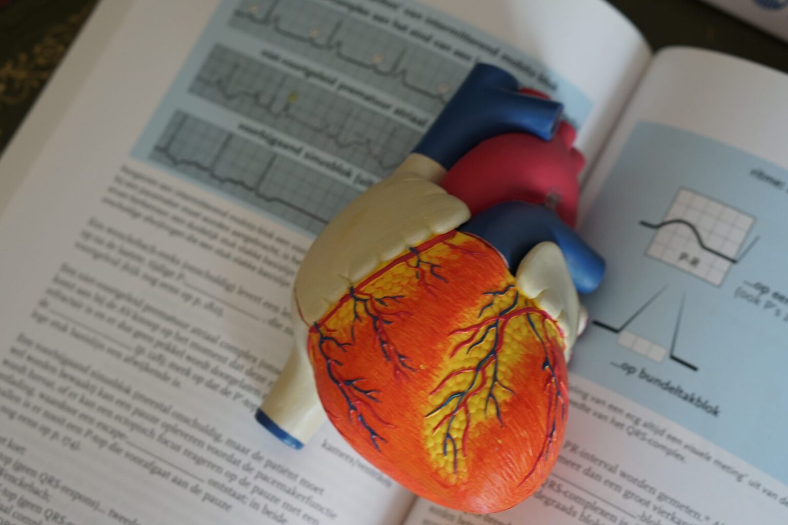 70 Things To Immediately Do About Panic Attack Vs Heart Attack Panic Attack Vs Heart Attack