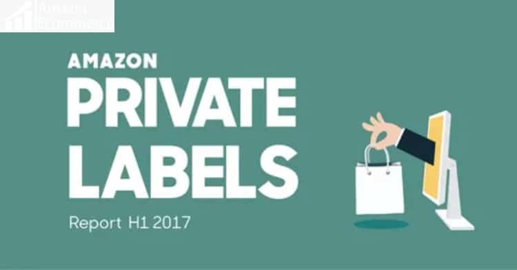 Exploring the Power of Amazon Private Label: Unleashing Profitability and Success in E-Commerce Amazon Private Label