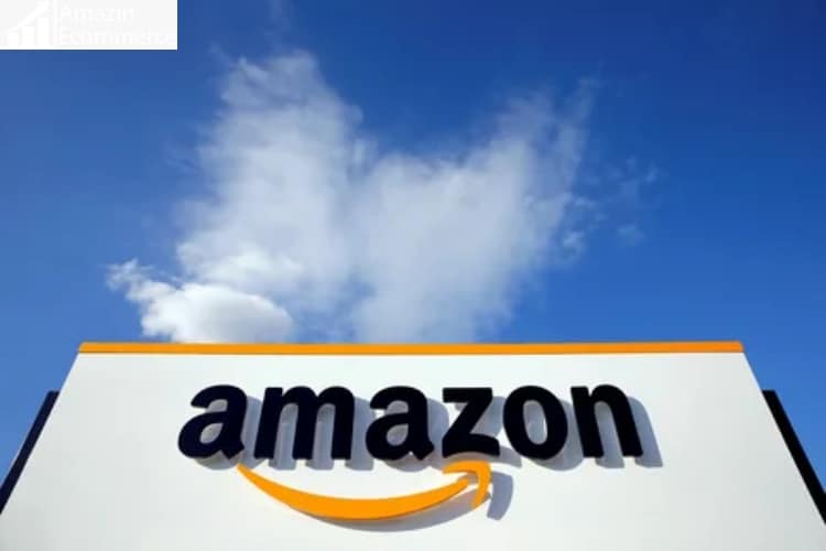 Amazon FBA Fees: What You Should Expect Amazon FBA Fees