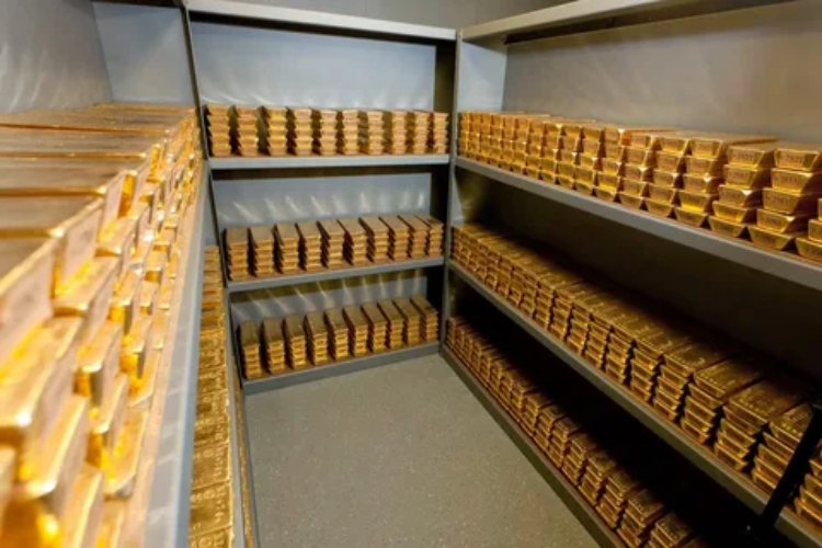 Fortress of Wealth: The Impregnable Reserve Vault