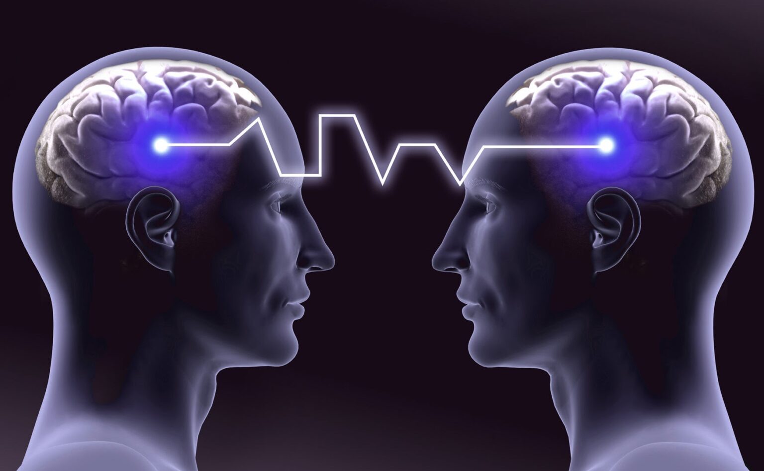 Xcel – The Answer to Your Inquisitive Mind