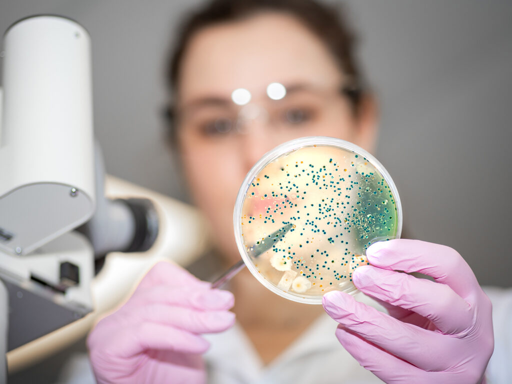 Trends in the Microbiome Manufacturing Market: A Deep Insight to The Market