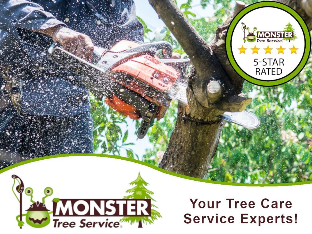 Emergency Tree Services: Your Reliable Partner