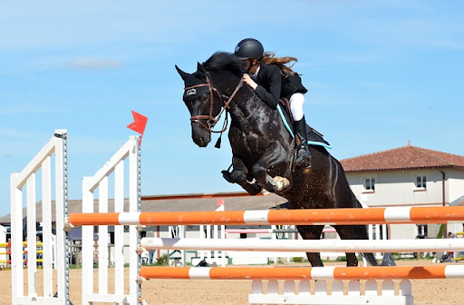 How You Can Better Present Yourself as an Equestrian