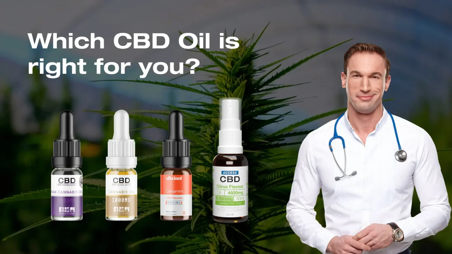 A Complete Guide to Choosing the Best CBD Oil in the UK