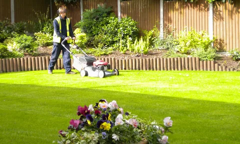 Maintenance Services to Expect from Lawn Care Companies near Me Tackling Sandy Soils