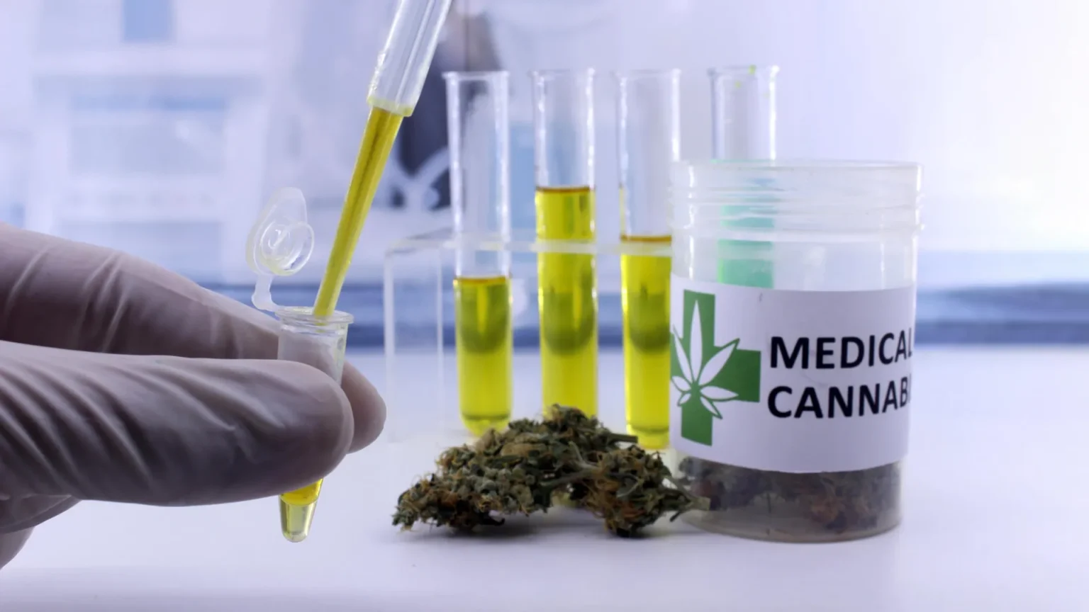 Beyond the Hype: A Clear Look at Medical Cannabis Benefits, Risks, and Real-World Use