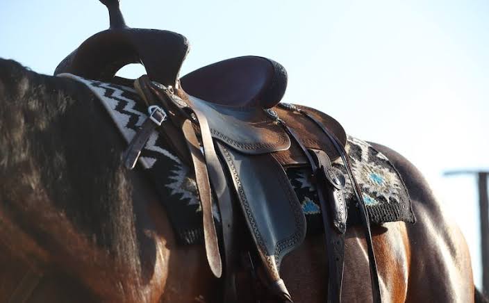 What to Look for Before Buying a Used Saddle